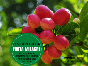 Frutos vermelhos da fruta milagre em galho verde — destaque do artigo “O Segredo da Fruta Milagre: neurociência, controle do desejo por doces e uso prático” do Portal da Dieta.